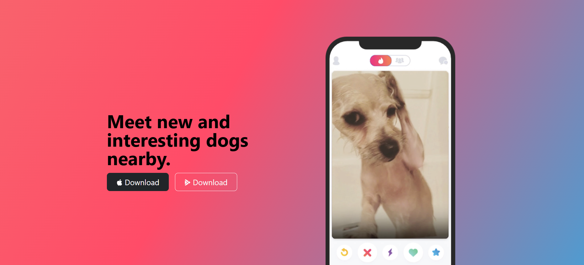 Dog tinder
